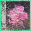 Pendant - Single