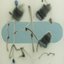 barely quantized