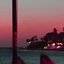 druif nights lp ッ