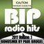 BIP Radio Hits Vol.3