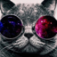 Avatar für Assiii