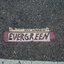 Evergreen