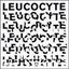 Leucocyte