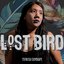 Lost Bird