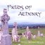 The Fields of Athenry