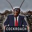 Cockroach - Single
