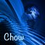 Chow