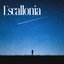 Escallonia - Single