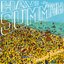 Have A Summah