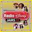 Radio Disney Jams 12