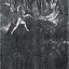 Schwarzes Blut