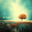 The Light