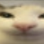Avatar for buttfucker342