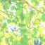 木漏れ日坂