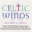 Celtic Winds: Irish Music In America