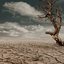 Wasteland