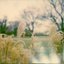Murmuring - Single