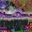 Nitez Into Dreamz