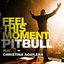 Feel This Moment - Single