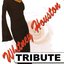 Dubble Trubble Tribute to Whitney Houston - Best of