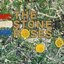The Stone Roses (20th Anniversary Collector’s Edition)
