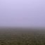 murmurs