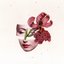 Sabla fin - Single