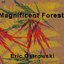 Magnificent Forest