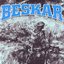 Demo - Single