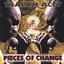 Pieces of Change (disc two)