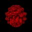 Cell-O-Grell: Divided Clouds
