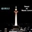 Tower Of Music Lover (Best Of Quruli) Disc 1