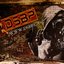 DSBP Records Sampler 2024