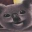 Avatar for SirBingusKnight