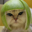 Avatar for iagotb