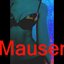 Mauser