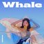 Whale