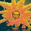 El Sol