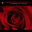 Spanish Rose