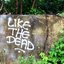 Like the Dead - Single