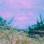 you're taller than the reeds now [Explicit]
