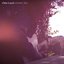 October Sun (feat. M. Ward, Tony Garnier & Steve Gunn) - Single