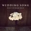 Wedding Song (feat. Rick Ortega, Nick Green & David Ottestad)