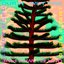 Why Pine Trees Bend