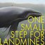 One Small Step For Landmines