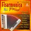 Fisarmonica che passione, Vol. 4 (Ecosound musica di liscio)