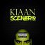 Scenario