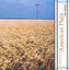 Songs from the American Plain