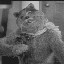 Bipedal_desman 的头像