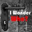 I Wonder Who?